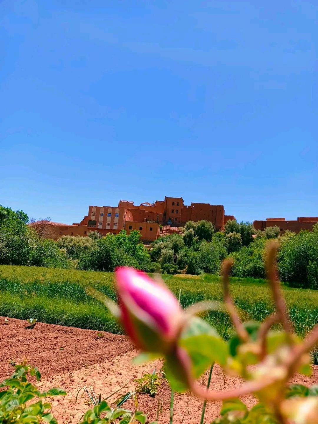 Hotel Restaurant Ait Saderat Boumalne Dades Экстерьер фото